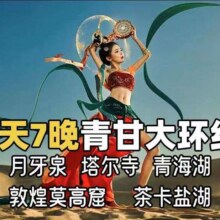 美团 【单人】西北青海甘肃旅游大环线8天7晚品质游原价6000，现价1600