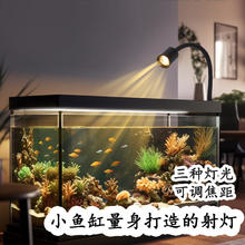 燕之雁 南美缸射灯 水陆雨林缸三色可调焦射灯 鱼缸照明水草灯 3w