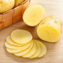 京百味 京鲜生 河南新鲜土豆 净重4.5斤 新鲜现挖黄心马铃薯 蔬菜源头直发4.85元