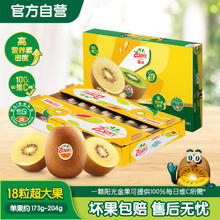 佳沛 新西兰阳光金奇异果 Jumbo超大果 单果175-232g 16-18个
