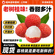 荔皇 广东高州正宗桂味荔枝 净重4.5斤普通装 冷链包邮券后39.9元