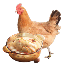 大用 冷冻新鲜鸡肉三黄鸡1.6斤/只  × 5件59.75元（合11.95元/件）