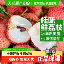 88VIP会员：广东桂味荔枝新鲜水果妃子笑荔枝当季整箱大果肉厚多汁现摘现发应34元