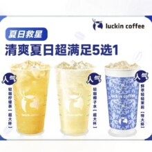 瑞幸咖啡 清爽夏日超满足5选1 超大杯 特大杯 15天有效 限自提 luckin coffee9.9元（需领券）