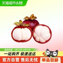 泰壹榴 泰国新鲜山竹3/5斤5A3A当季新鲜水果48元