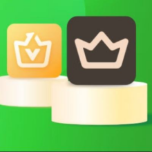 爱奇艺 黄金VIP会员年卡+京东PLUS会员年卡133元（需领券）