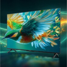 政府补贴：TCL雷鸟 55雀5 25款 55英寸电视 4K高清远场语音 2+32GB大内存低蓝光护眼电视 55英寸 雀5 25款1151.28元（需领券）