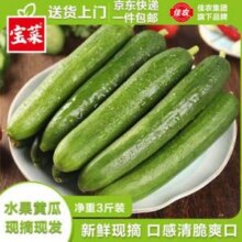 Goodfarmer 佳农 宝菜 山东荷兰水果黄瓜 净重3斤 单果80g+9.77元包邮