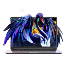 mechrevo机械革命 无界14s 笔记本电脑 i5-13420H 16GB 512GB2370.45元