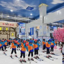 美团  （6月）沈阳龙之梦冰雪世界-【单人票】冰湖乐园单人畅玩票原价100元，现价69元