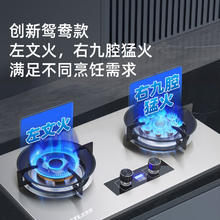 太太乐 TTL 燃气灶煤气灶双灶家用台嵌两用一级能效 猛火双九腔+定时+熄火保护券后264.15元