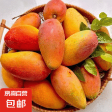 贵妃芒果 新鲜水果甜心芒果热带现摘红金龙芒果整箱水果 贵妃3斤装70g+6.9元