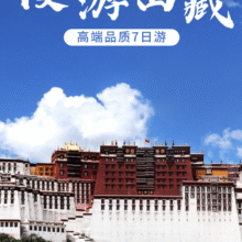 美团【畅游西藏】单人 西藏+拉萨+林芝+布达拉宫+7天6晚多日游原价10995元，现价1369元