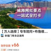 美团 威海万人选择 专车陪同+布鲁维斯+火炬八街+那香海原价228.5元 现价66元