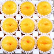 初石 顺丰 特大果 山东蒙阴 黄油桃 黄桃 2.5斤装（7-9 个）24.95元（需买2件，需用券）