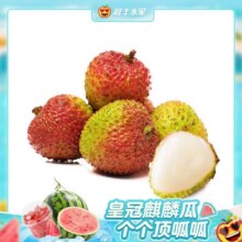 美团  鲜丰水果 【核小肉厚】A级火山口（妃子笑）荔枝250g-15080-1 全国121城1500家门店可用原价12.9元  现价3.88元