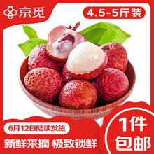 京觅 黑叶荔枝4.5-5斤装单果16g+ 源头直发 黑叶荔枝4.5-5斤装券后36.5元