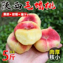 康田汇 陕西毛蟠桃新鲜脆甜桃子当季现摘毛桃 精选16-20个单果40-60g个个美味 源头直发券后11.9元