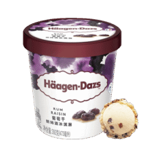 哈根达斯（Haagen-Dazs）【杨幂同款】葡萄朗姆酒大桶冰淇淋 473ml/桶 雪糕100元 (券后省20,月销1w+)