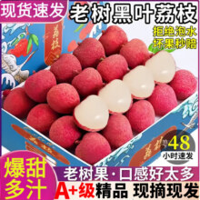 需首购:甜萌果蔬 黑叶荔枝  A+手挑精选大果【单果约18g+】 净重4.5斤家庭装26.78元