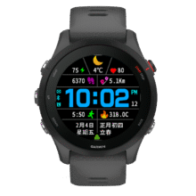 Garmin 佳明 Forerunner255 智能手表 神秘灰 非音乐版1173元