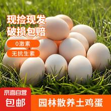 大码散养土鸡蛋 50g正负5g/枚 10枚 京东包邮3.19元