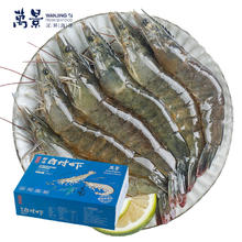 万景 鲜冻白虾 100-120只 2kg69.18元