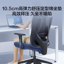 京东京造 Z5 Soft 人体工学电脑椅 黑色 升降背椅款券后293.53元