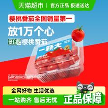 88VIP会员：一颗大 今日必买 ：樱桃番茄精品粒装酸甜爆汁基地直发458*2券后13.2元