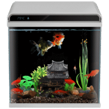 政府补贴：森森 超白玻璃智能鱼缸一体缸 自循环家用水族箱HE-300103.9元（需领券）
