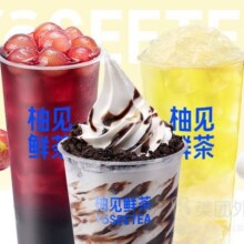 柚见鲜茶 多肉葡萄*1+柚香冻冻双柚汁*1+奥利奥套餐兑换券·1张21.9元