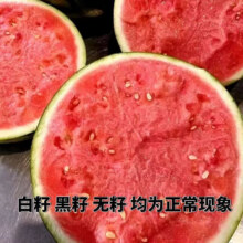 PLUS包邮：京喜加正宗麒麟西瓜应季新鲜 麒麟西瓜 6-7斤 1枚装