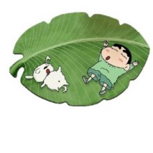 再降价：康妮雅 硅藻泥吸水脚垫 40*60cm 2.5mm 任选2件13.8元（合6.9元/件）