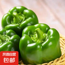京喜 现摘新鲜圆辣椒超市即食太空椒皮厚肉多不辣水果灯笼椒 2斤普通装2.14元