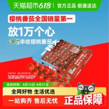 折合7.01元/斤！一颗大 玲珑串樱桃番茄礼盒装 1kg￥14.15 2.8折