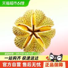 泰壹榴 泰国金枕榴莲3-4斤81.23元