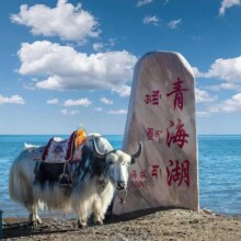 美团 纯玩小团【青甘大环线7天6晚自由行】赠送飞天写真原价3400元，现价 2210