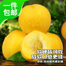 plus会员:京鲜生 湖北黄金蜜桃 净重3斤 单果150g+ 生鲜时令水果 源头直发18.57元