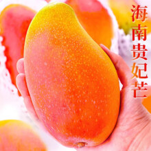 元珍鲜诚海南贵妃芒果 新鲜水果 孕妇整箱现摘当季热带红金龙芒果 彩虹 芒 5斤(净果4.5斤)单果150g+ 源头严选 甄选品质13.9元（需领券）