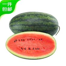 京东PLUS：京鲜生 黑美人西瓜 1粒装 净重8-9斤21.41元（双重优惠）