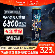 梵想 S790E-960GB固态硬盘315.47元