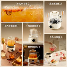 西屋电气 养生壶全玻璃 WEKH12 奶白 1.2L 单机版券后299元