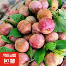 三华李 250g3.9元