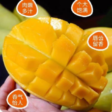 越南进口大玉芒新鲜特大玉芒3斤净重单果300g起8.99元