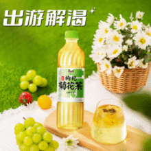让清润时刻随行！康师傅 低糖枸杞菊花茶 500ml*15瓶￥23.35 比上一次爆料上涨 ￥4.03