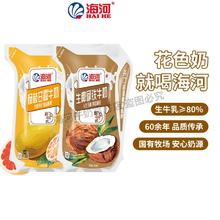 68年国企乳业！海河 杨枝甘露牛奶+生椰拿铁牛奶 180ml*10袋￥14.9