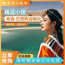 美团 大西北旅游环线【路线随心定制】咨询客服推荐线路及车型原价3515元，现价200