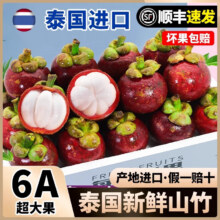 迎畔山竹 泰国进口山竹6A级特大果油麻竹应季热带新鲜水果整箱  净重2.5斤 精品特级大果 人工精选+保温箱+冰袋29.9元（需领券）