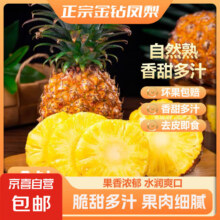 京喜 金钻凤梨1个装小果 单果400g起2.49元