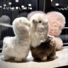 AUSGOLDENMIX 100%澳洲进口羊毛 羊驼公仔 高36cm69.5元包邮